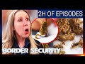 6 episode border security marathon  australia season 10  full episodes compilation