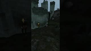 Killing the adoring fan in Morrowind every day until Skywind and Skyblivion are released Day - 1002