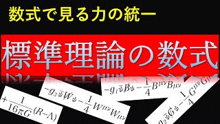 【素粒子物理学】アインシュタインも夢見た統一，ホーキング博士も絶賛：標準理論は物理学の未来か？