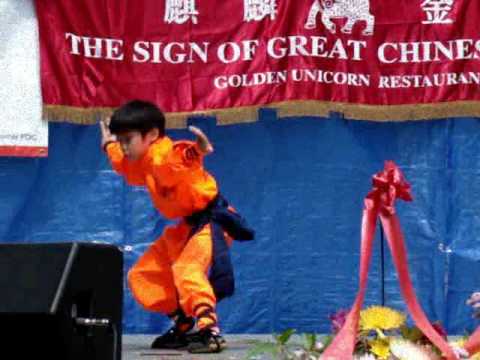 MANHATTAN SHAOLIN KUNG FU CENTER Sifu Chao Hai & S...