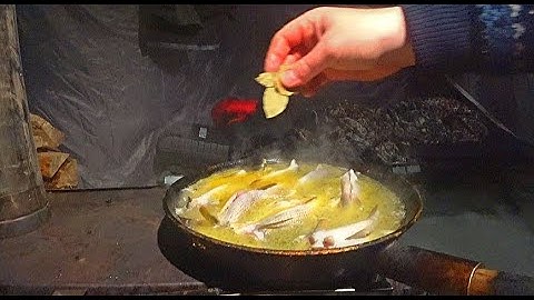И снова в тайгу на хариусовую речку! Это блюдо должен попробовать каждый! Рыбалка на севере!