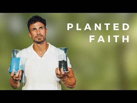 'Planted Faith' |