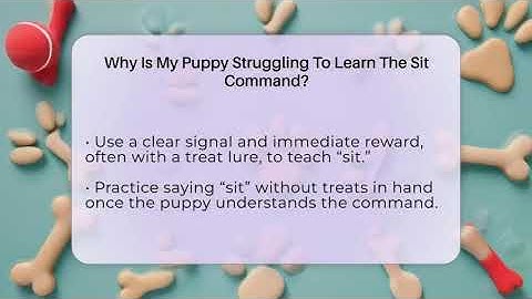 Why Is My Puppy Struggling To Learn The Sit Command? - Obedient Dog Guide
