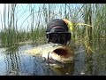 Подводная охота г.Челябинск, оз. Хараши | Spearfishing Chelyabinsk