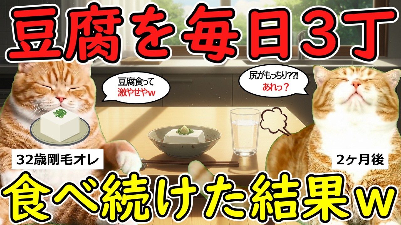 【衝撃】豆腐毎食一丁生活を続けた剛毛オレの末路ｗｗ【猫ミーム】