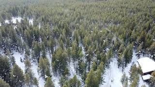 Lot 15, Henrys Lake Village Tree Top View