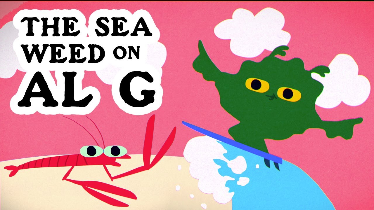 The Seaweed On Al G | Formidable Vegetable | Clean Oceans Permaculture Music Video