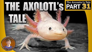 The Axolotls Tale