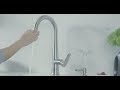 Grohe  veletto pulldown kitchen faucet  product