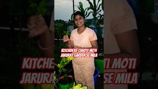 Chhat ke garden se chhoti Si harvesting #gardening #trendingshorts