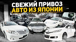 Свежий привоз авто из Японии! Что с ценами?