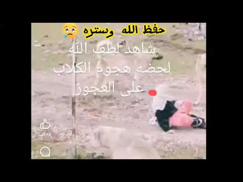 شاهد لطف الله لحظة هجوم الكلاب الشرسة على امرأة عجوز