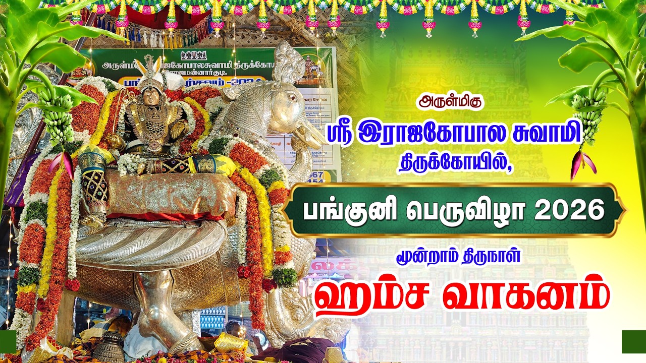 Panguni Bramotsavam Day 3 Hamsa Vaganam Sri Rajagopalaswamy Temple RajaMannargudi | ஹம்ச வாகனம்