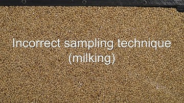 ISTA Nobbe Trier Sampling Technique