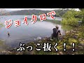 ビッグベイト使いがジョイクロで釣る！