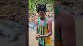Catch like a Boss, Cook like a Boss! 🇬🇩
Im here riverside Grenada with Joachim @joachimjammeal cooking up some nice vegetarian/ital Zucchini Fritters! This man can cook like a boss, and catch like a boss! Hes also making some tania log (taro porridge), so check back soon...
Respect to all wise grandparents from Grenada, Guyana, and all over the world!
bless up
Vid by @mattyp.tv
Chef- @joachimjammeal
#riverside #grenada #zucchini #fritter #vegetarian #ital #rasta #tanialog #grenadian #guyanese #knifehandling #cricketplayer #shadobeni #culantro Catch like a Boss, Cook like a Boss! 🇬🇩