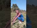 SpiderMan Vs Mithun Funny Shorts #spidyboi  #funnyshorts #crazycomedy
