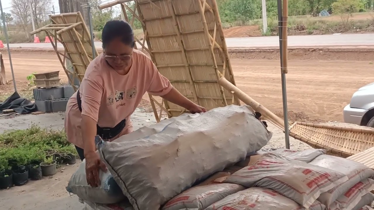 แวะเอาอะไรไห้ย่าอชิ!!มาร้านต้นไม้ซื้ออะไร!!สุดอึ้งเจออะไรหลังบ้าน