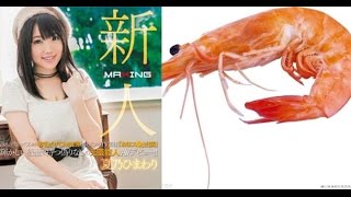 AV女優 夏乃向日葵 號稱當過藝人 只演過一隻蝦子 網友傻眼! AV女優 夏乃向日葵 號稱當過藝人 只演過一隻蝦子 網友傻眼!
