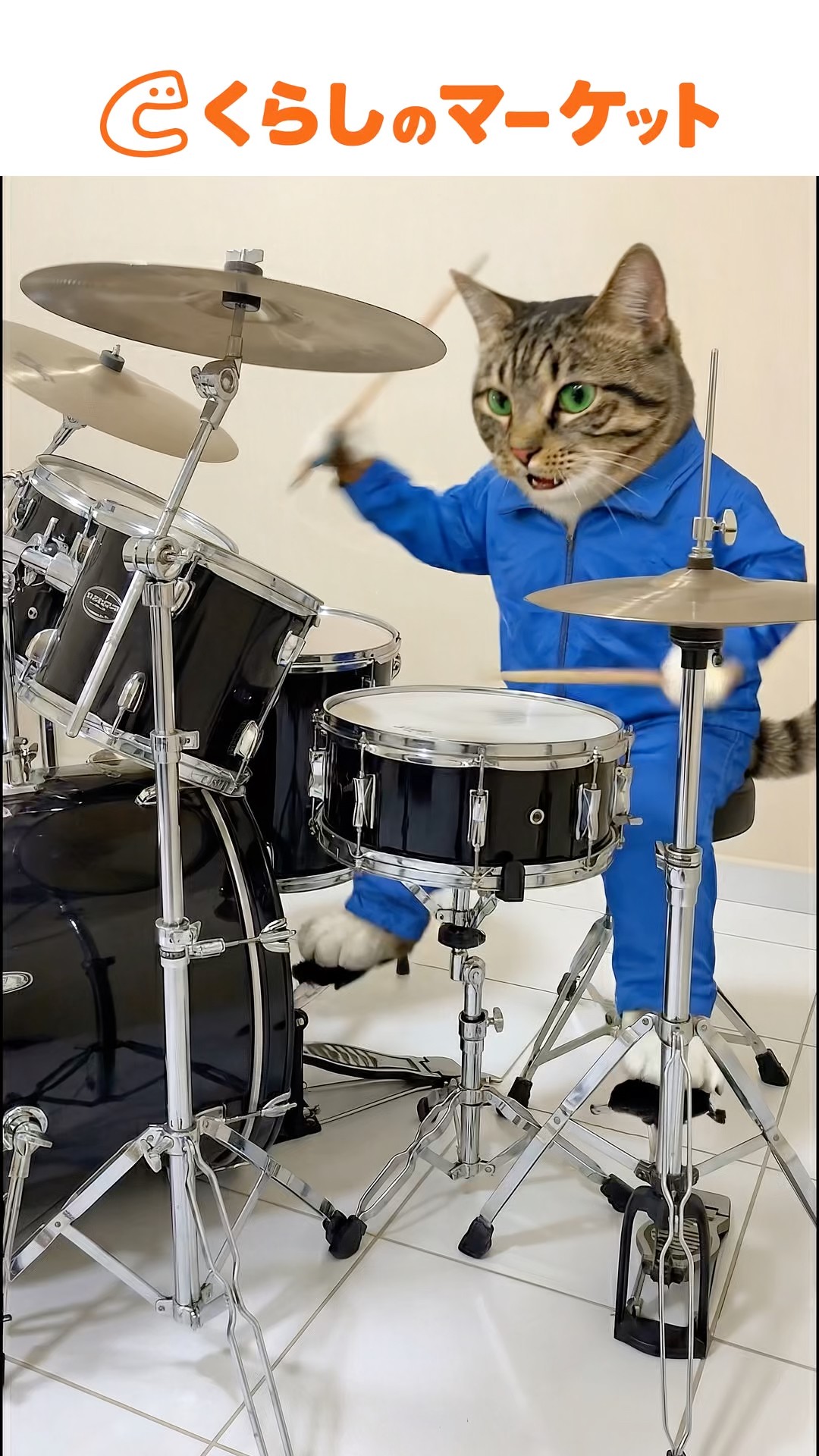 The twin drums of the Cat Prime Minister and the Cat President are