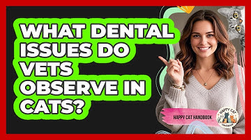 What Dental Issues Do Vets Observe In Cats?