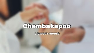 chembakapoo slowed reverb|shahza|yousafnabi|