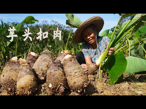 芋頭的一生從種植到餐桌,耗時8個月,做一道農村傳統芋頭扣肉|Grandma spends 8 months harvesting taro delicacie|广西 美食 |玉林阿婆