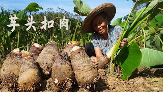 芋頭的一生從種植到餐桌耗時8個月做一道農村傳統芋頭扣肉Grandma spends 8 months harvesting taro delicacie广西 美食 玉林阿婆