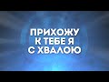 JoyYouth Worship - Прихожу к Тебе я с хвалою | караоке текст | Lyrics