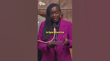 Soudan : Silence et l’inaction de la France et de l’UE ! - Nadège Abomangoli | #QAG