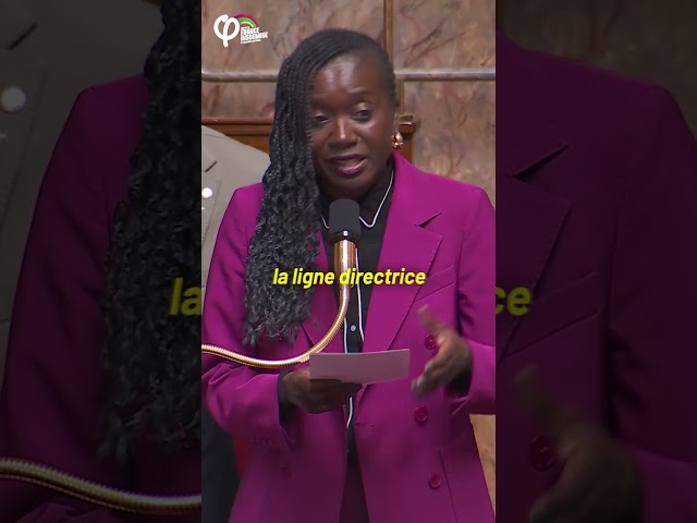Soudan : Silence et l’inaction de la France et de l’UE ! - Nadège Abomangoli | #QAG