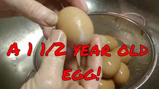 These eggs are a year and a half old! Water glassed eggs update
