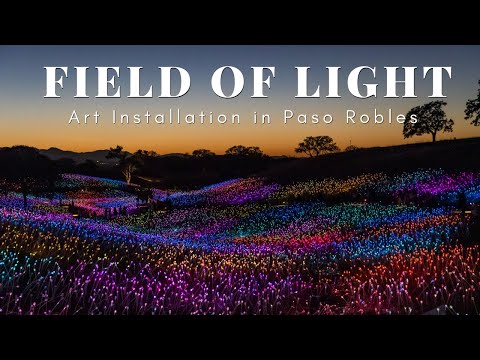 センソリオ：パソローバルズに50,000以上のライトを備えたライトアートインスタレーションの分野