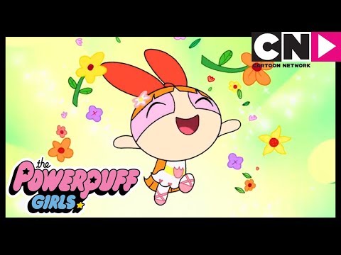 Суперкрошки | У Цветик появляется парень! | Cartoon Network