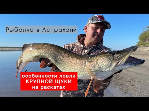 Щука с каждого заброса! Кайфанул на 100 [РЫБАЛКА В АСТРАХАНИ]