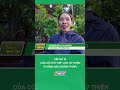 Tiệm mì 1k của cô chủ "mê" làm từ thiện ở phường Hồng Ngự #nongnghiepmientay