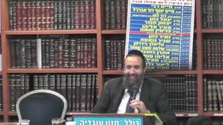 חידושים על מזמור 'תהילה לדוד' - הרב אלמוג לוי