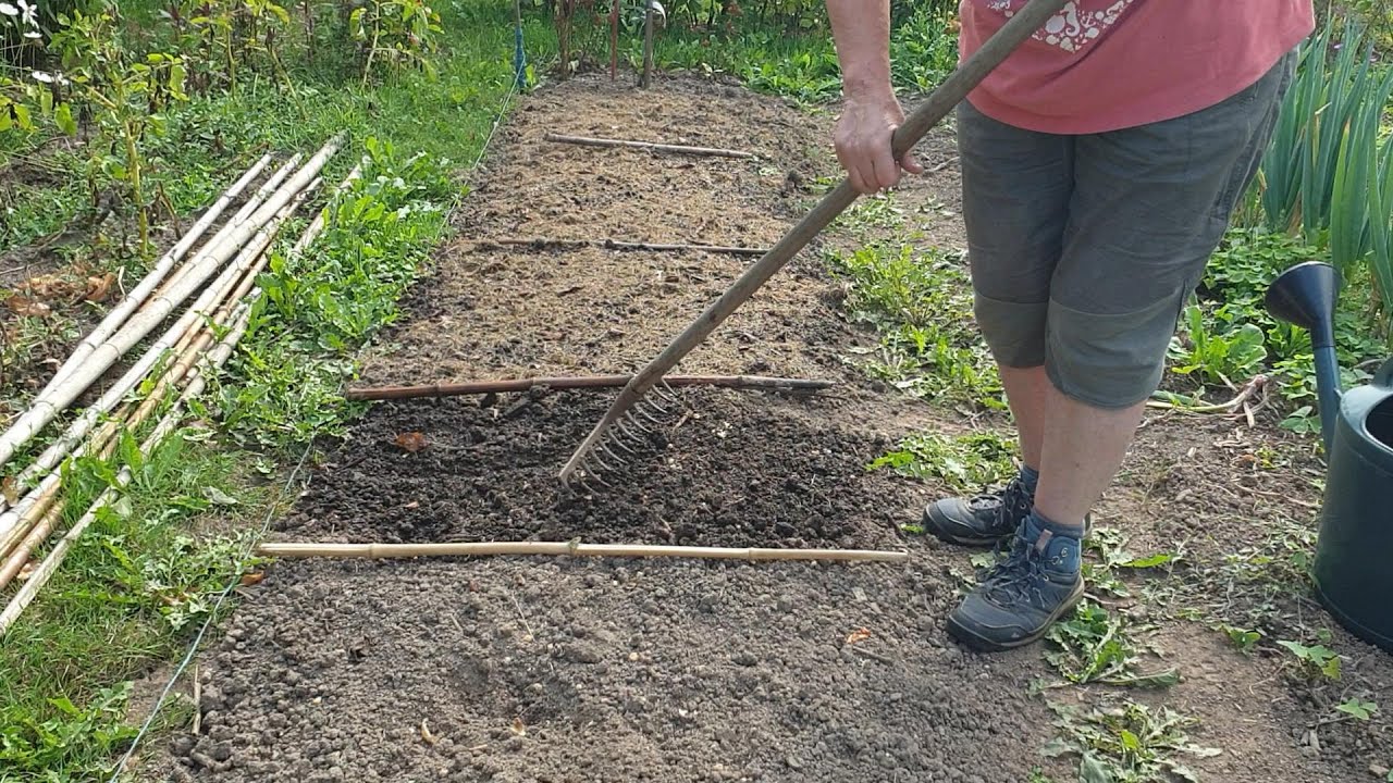 Je sème quoi fin juillet ?