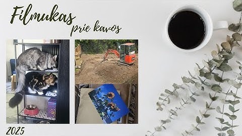 Šiltnamių skameriai//Lentyna katinams//didelį kiemo pokyčiai