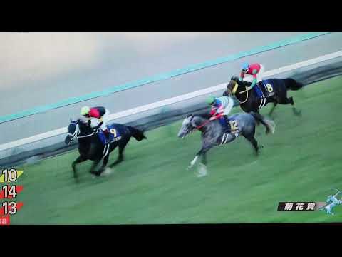 素人実況　第83回菊花賞　2022年