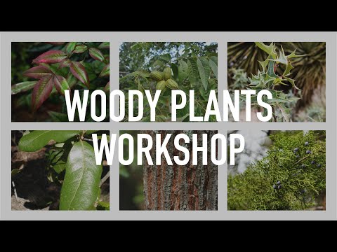 Biodiversity Project: Woody Plant Workshop