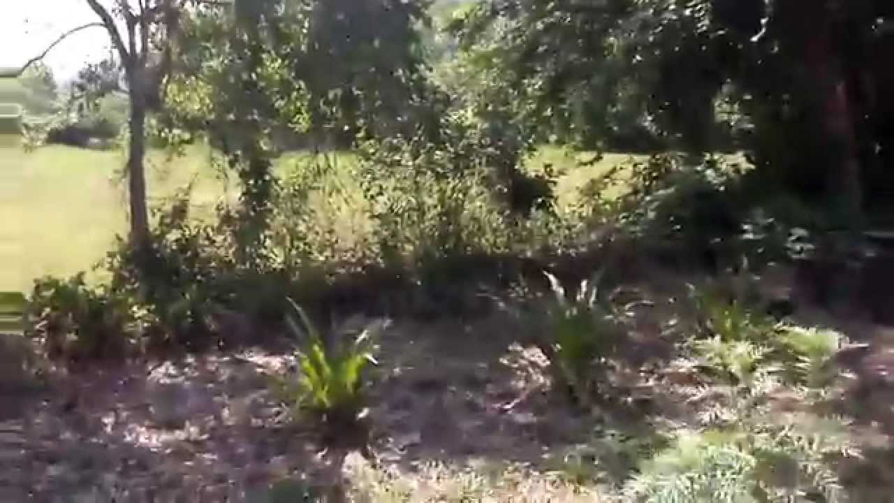 IXTLÁHUAC, HUAZALINGO, Y ALGO MÁS.