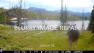 Blurry Image Trail Camera Repair