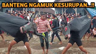 Bantengan Ngamuk Kuda Budaya Live Kedok Banteng Pacet Mojokerto