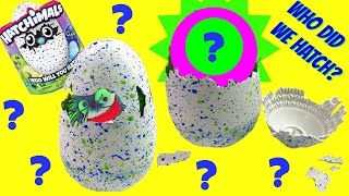 Hatchimals  Our Egg Hatched!