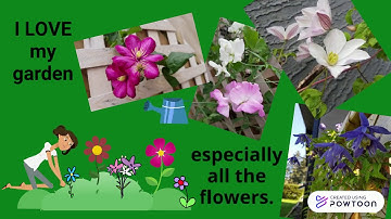 Meet your instructor