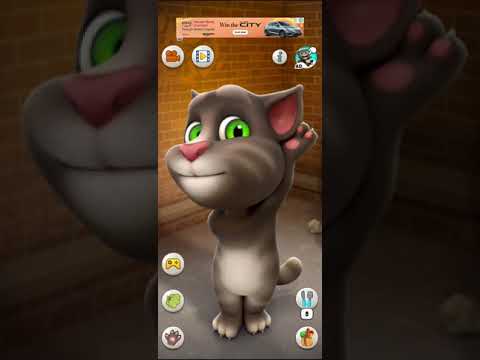 Talking Tom Cat Says 