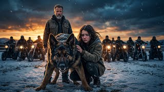 Information Nobody Could Tame This War Dog — Then a Teen Girl Did Something No Biker Expected! News