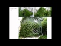 Interface: Between Landscape and Architecture