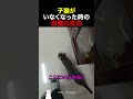 子猫がいなくなった時の母猫の反応